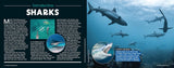 Australia’s Amazing Sharks