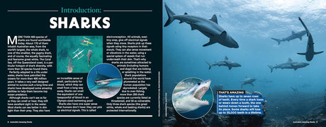 Australia’s Amazing Sharks