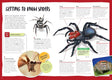 Australia's Most Dangerous Spiders