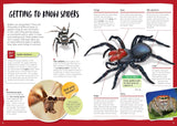 Australia's Most Dangerous Spiders