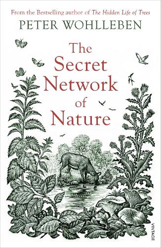 The Secret Network of Nature