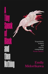 A Tiny Speck of Black and Then Nothing