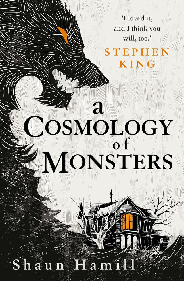 A Cosmology of Monsters
