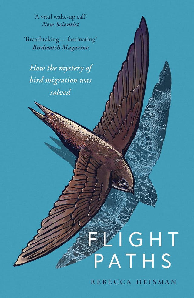 Flight Paths
