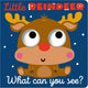 Little Reindeer (What Can You See?)