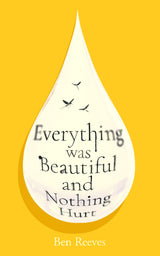 Everything was Beautiful and Nothing Hurt