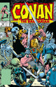 Conan The Barbarian: The Original Comics Omnibus Vol.8