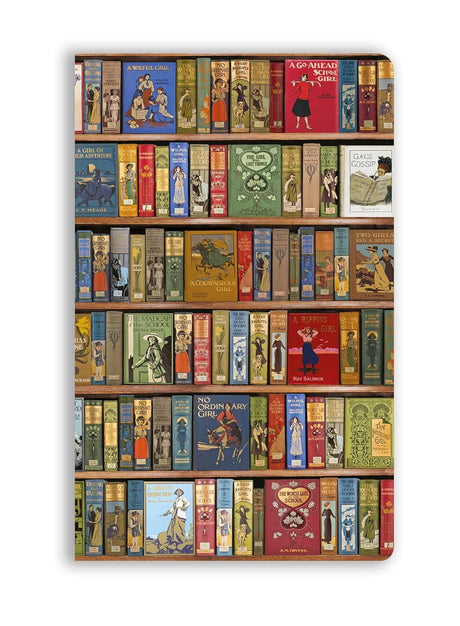 Bodleian Libraries: High Jinks Vintage Bookshelves (Soft Touch Journal)