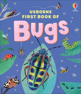The Usborne First Book of Bugs