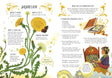 A Guide to Plants for Little Witchlings