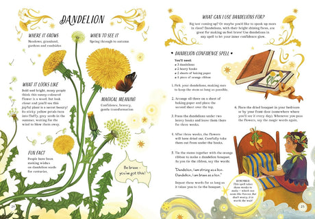 A Guide to Plants for Little Witchlings