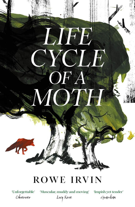 Life Cycle of a Moth