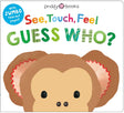See, Touch, Feel: Guess Who?