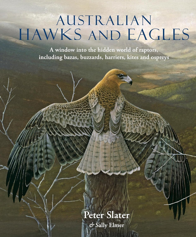 Australian Hawks and Eagles