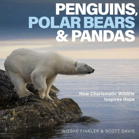 Penguins, Polar Bears & Pandas