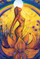 The Tarot of Light - Pocket Edition