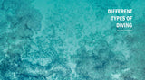 Great Diving Spots - World