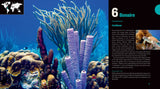 Great Diving Spots - World