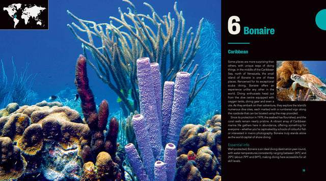Great Diving Spots - World