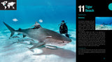 Great Diving Spots - World