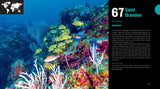 Great Diving Spots - World