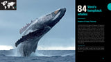 Great Diving Spots - World