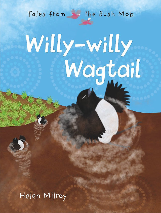 Willy-willy Wagtail