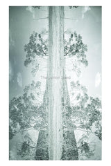 The Lumen Seed