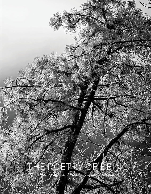 The Poetry of Being
