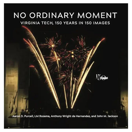 No Ordinary Moment