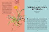 The Curious Lives of Vegetables