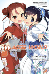 Accel World, Vol. 25 (light novel)
