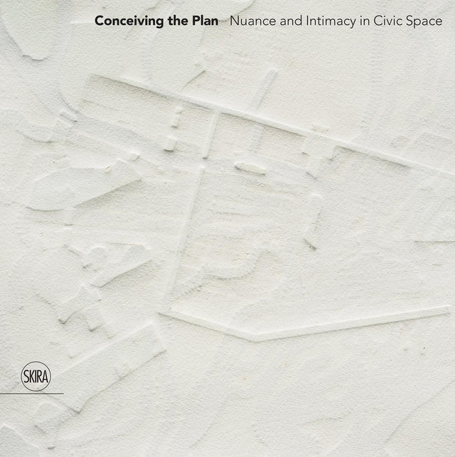 Conceiving the Plan