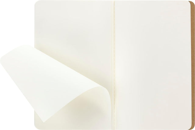 Moleskine Plain Cahier L - Kraft Cover (3 Set)