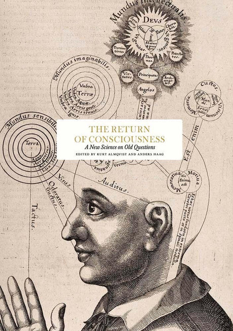 The Return of Consciousness