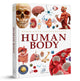 Knowledge Encyclopedia