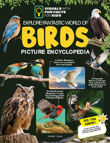 Explore Fantastic World of Birds Picture Encyclopedia