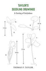 TAYLOR'S SEEDLING DRAWINGS