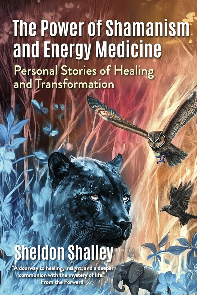 The Power of Shamanism and Energy Medicine