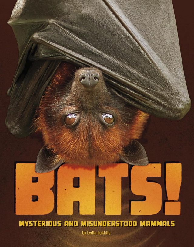 Bats Mysterious and Misunderstood Mammals