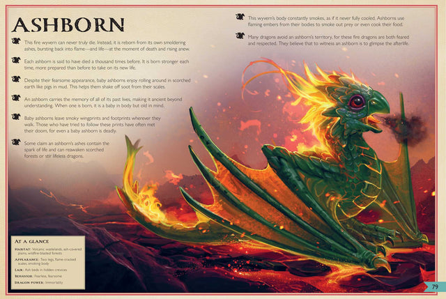 The Magnificent Book of Baby Dragons