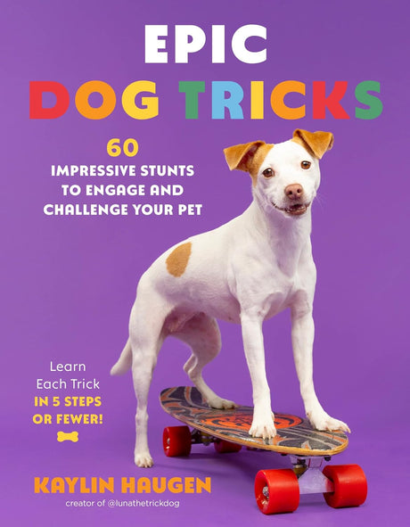 Epic Dog Tricks