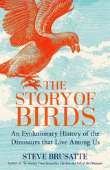 The Story of Birds