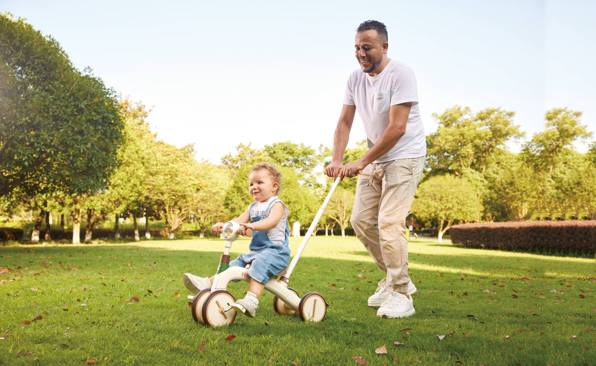 Hape: Step by Step Trike