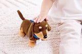 Hape: Puppy Care Clinic Vet Set