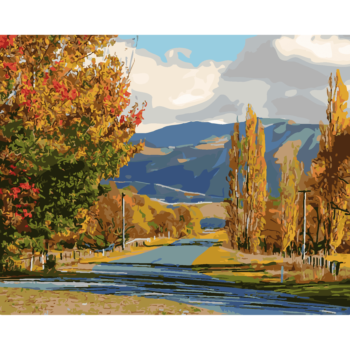 Kiwi Paint By Numbers - Geraldine