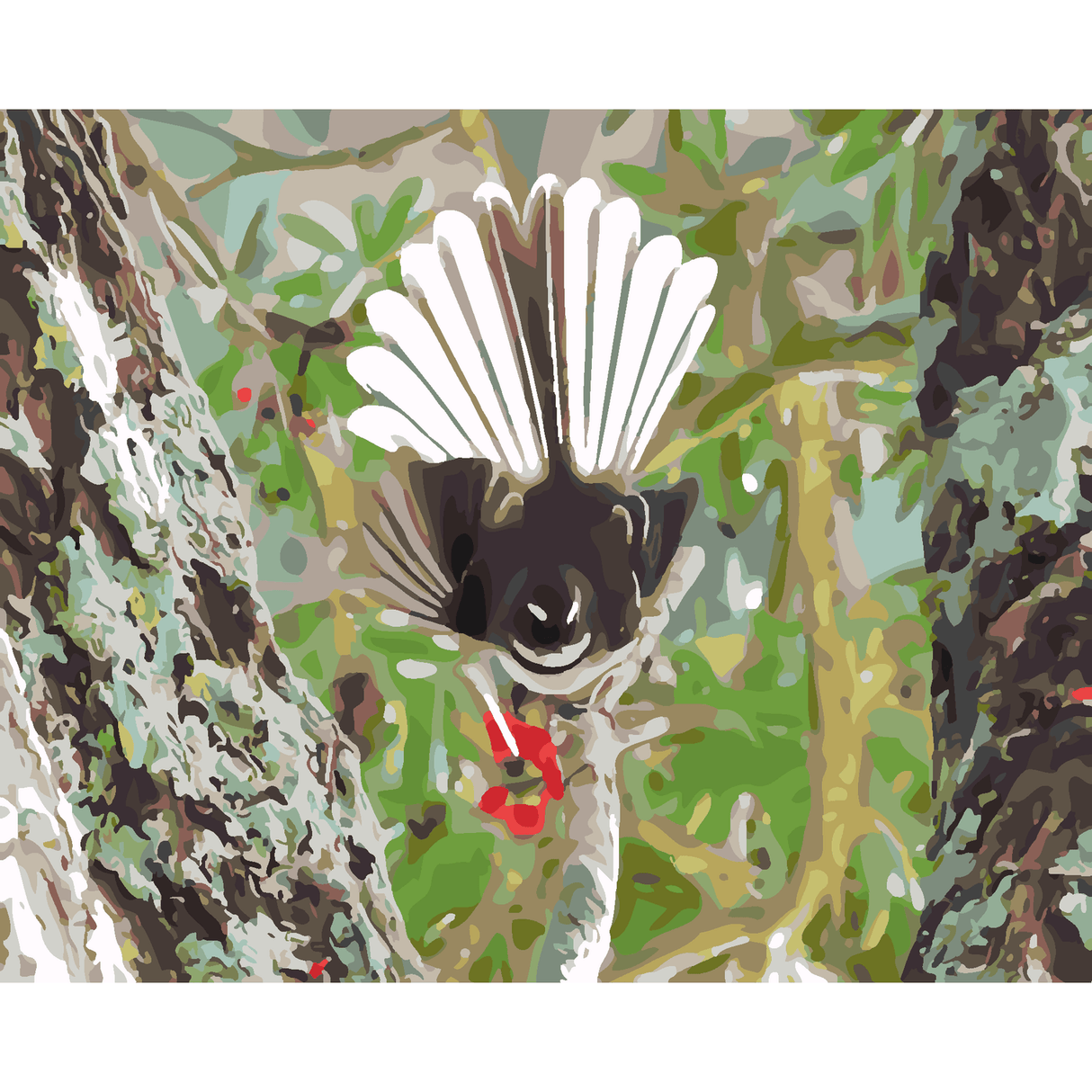 Kiwi Paint By Numbers - Fantail - Piwakawaka