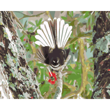 Kiwi Paint By Numbers - Fantail - Piwakawaka