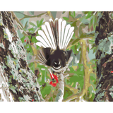 Kiwi Paint By Numbers - Fantail - Piwakawaka