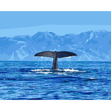 Kiwi Paint By Numbers - Kaikoura Whales